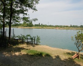 2011 - Lago dei Cigni di Muggiano
