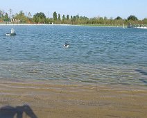 20120916 - Laghetto Malaspina_Libellule_001