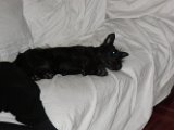 20100307-Gwen_022