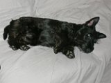 20100307-Gwen_023