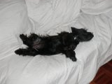 20100307-Gwen_025