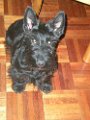 20100325-Gwen_026