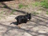 20100402-Gwen_027