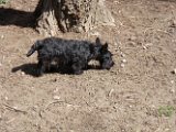 20100402-Gwen_028