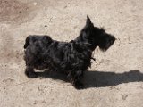 20100402-Gwen_029
