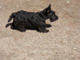 20100402-Gwen_030