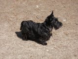 20100402-Gwen_031