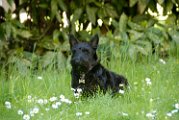 20100405-Gwen_033