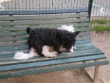20100414-Gwen_038