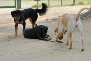 20100416-Gwen_041