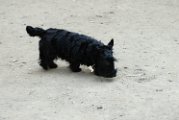20100416-Gwen_042