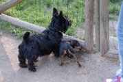 20100428-Gwen_057