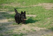 20100428-Gwen_058