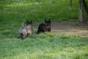 20100428-Gwen_060