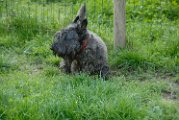 20100428-Gwen_061