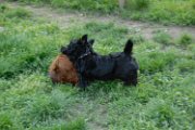 20100428-Gwen_064