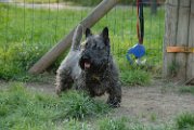 20100428-Gwen_065