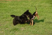 20100428-Gwen_068