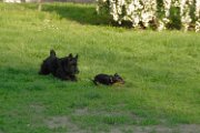 20100428-Gwen_073