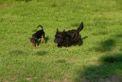 20100428-Gwen_074