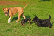 20100428-Gwen_077