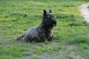 20100428-Gwen_078