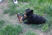 20100428-Gwen_079