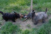 20100428-Gwen_081