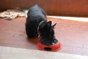 20100429-Gwen_085