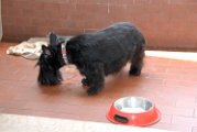 20100429-Gwen_086