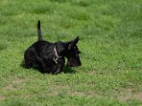 20100429-Gwen_091