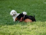 20100429-Gwen_098