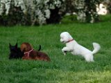 20100429-Gwen_099