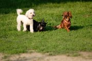 20100429-Gwen_103