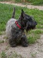 20100526-King e Cleo_002