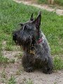 20100526-King e Cleo_004