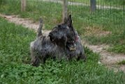 20100526-King e Cleo_019