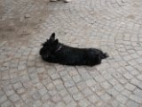 20100530-Gwen_107