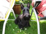 20100606 Stoney_001