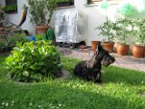 20100606 Stoney_002