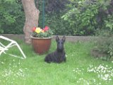 20100606 Stoney_003