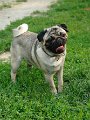 20100609-Charlie_001