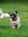 20100609-Charlie_002