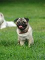 20100609-Charlie_003