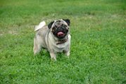 20100609-Charlie_005