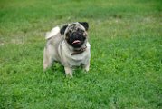 20100609-Charlie_006