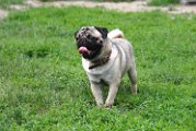 20100609-Charlie_007