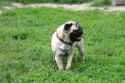 20100609-Charlie_008