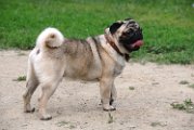 20100609-Charlie_009