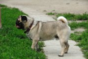 20100609-Charlie_012